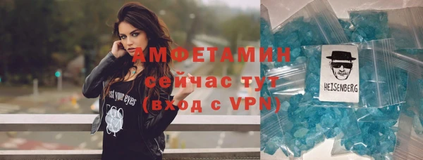 сатива Иннополис