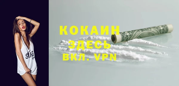 сатива Иннополис