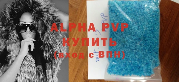 сатива Иннополис