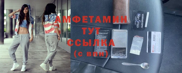 сатива Губаха