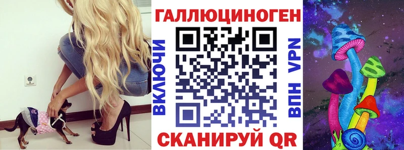 ссылка на мегу маркетплейс  Ивантеевка  Псилоцибиновые грибы мицелий  сколько стоит 